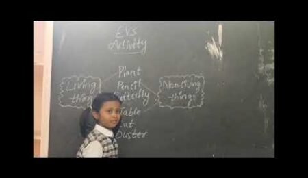 EVS Activity by our 2nd class children